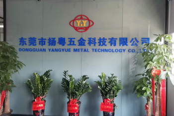 東莞市揚(yáng)粵五金科技有限公司